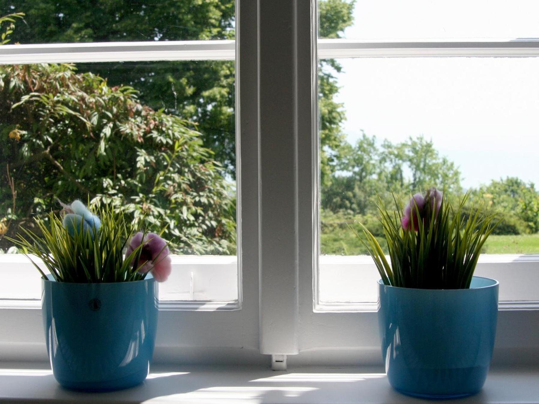 Ferienwohnung Villa Hoyerberg リンダウ エクステリア 写真